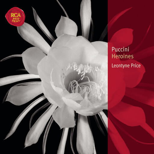 原神本子18❌动漫免费网站
